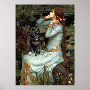 Schipperke 4 - Ophelia Sitzplätze Poster