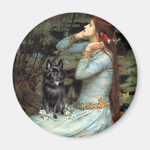 Schipperke 4 - Ophelie Sitzplätze Magnet