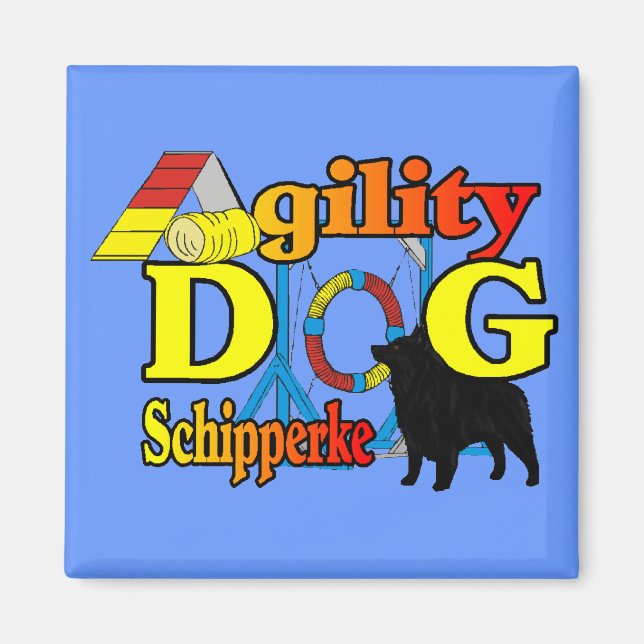 Schipperke Agility Geschenke Magnet (Vorne)