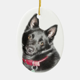 Schipperke-Bild Keramikornament