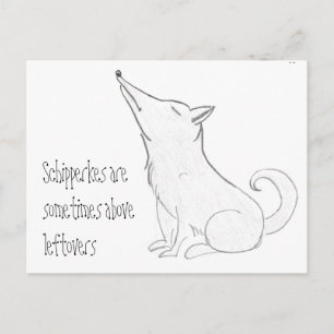 Schipperke Dog Cartoon Postkarte