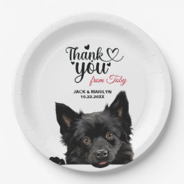 Schipperke Dog Pappteller