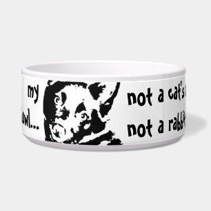 Schipperke Dog Picture Napf