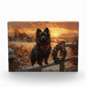 Schipperke Dog Rustic Winter Sunset Fotoblock