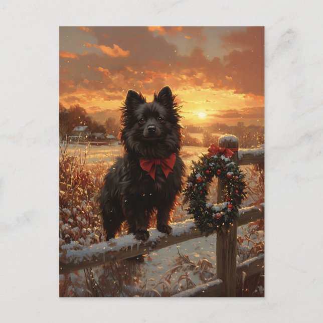 Schipperke Dog Rustic Winter Sunset Postkarte (Vorderseite)