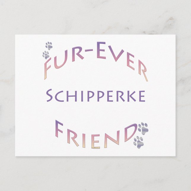 Schipperke Furever Friend Postkarte (Vorderseite)