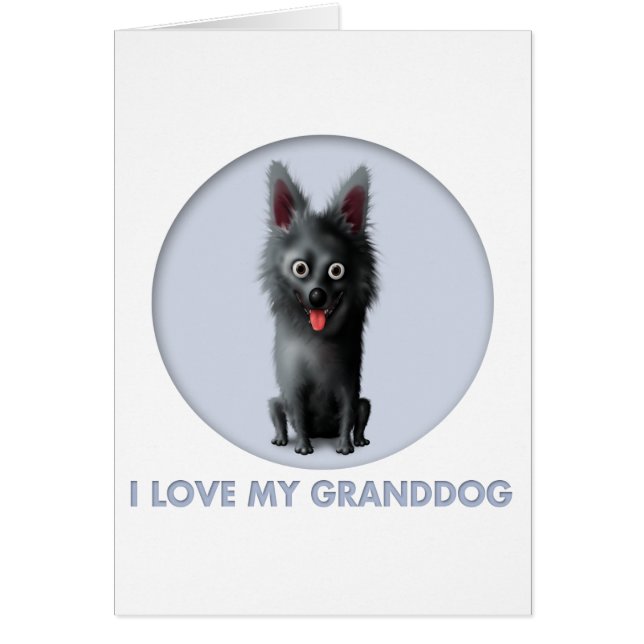 Schipperke Granddog (Vorne)