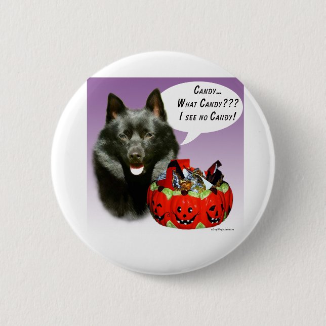 Schipperke Halloween Candy Button (Vorderseite)