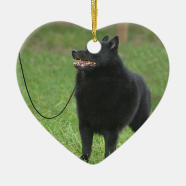 Schipperke-Hund Keramikornament (Vorne)