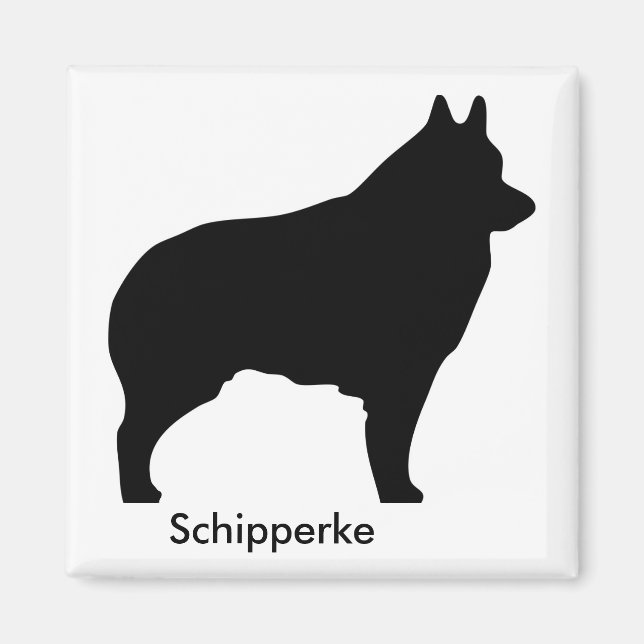 Schipperke Magnet (Vorne)