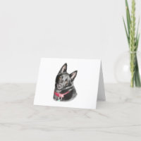 Schipperke Picture Blank Card