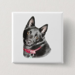 Schipperke Picture Button