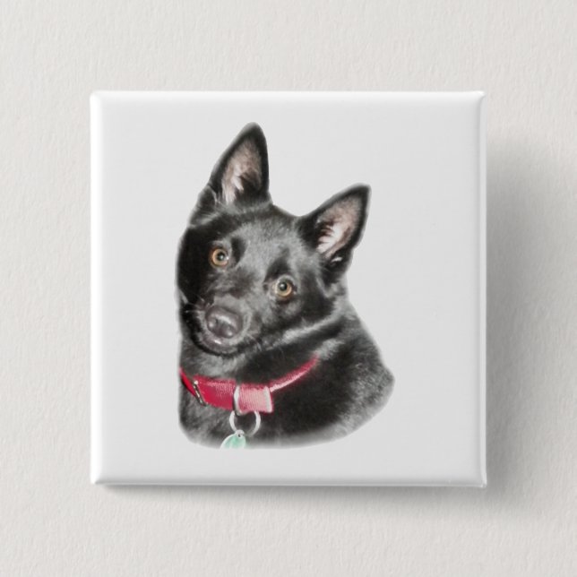 Schipperke Picture Button (Vorderseite)