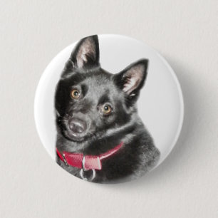 Schipperke Picture Button