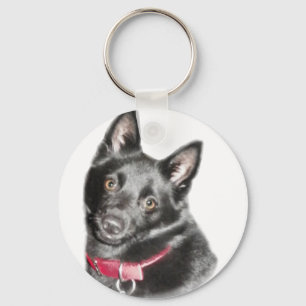 Schipperke Picture Schlüsselanhänger