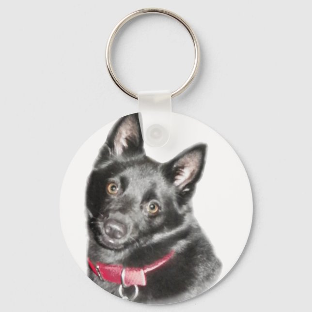 Schipperke Picture Schlüsselanhänger (Vorderseite)