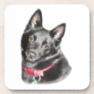 Schipperke Picture Untersetzer