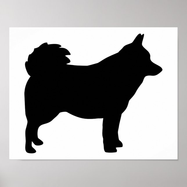 Schipperke Poster (Vorne)