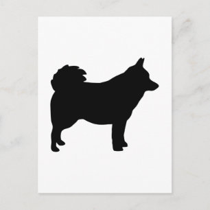 Schipperke Postkarte