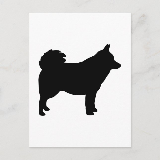 Schipperke Postkarte (Vorderseite)