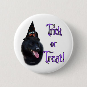 Schipperke Trick Button