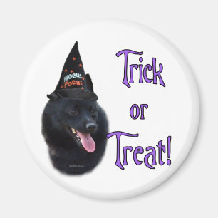 Schipperke Trick Magnet