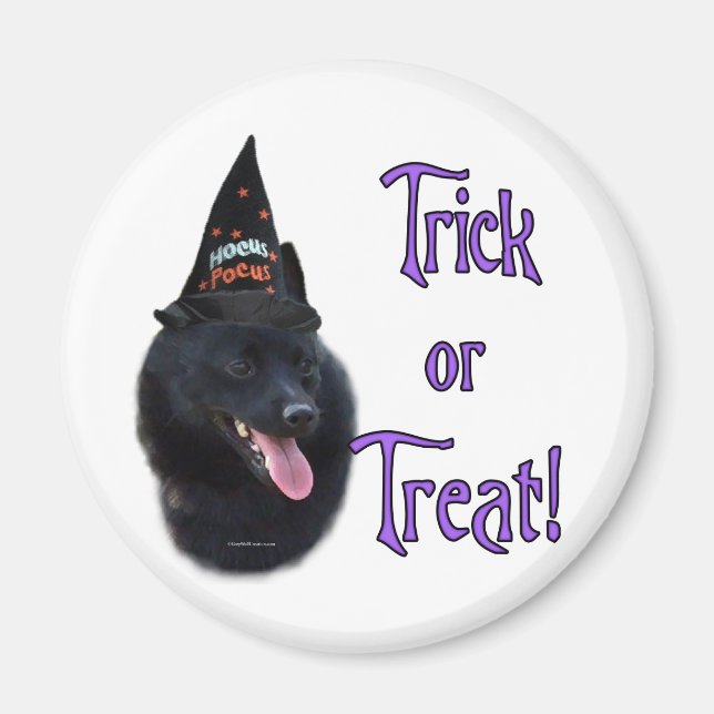 Schipperke Trick Magnet (Vorne)