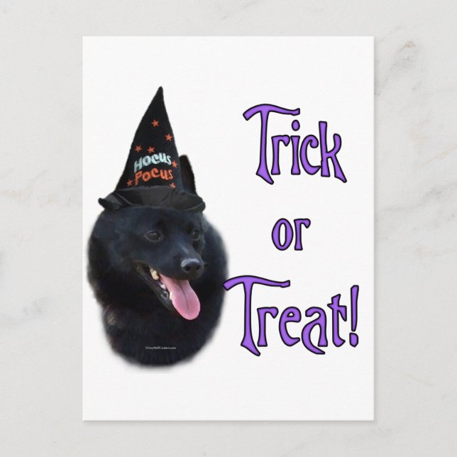 Schipperke Trick Postkarte (Vorderseite)