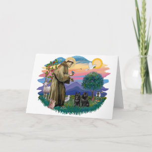 Schipperke (zwei) karte