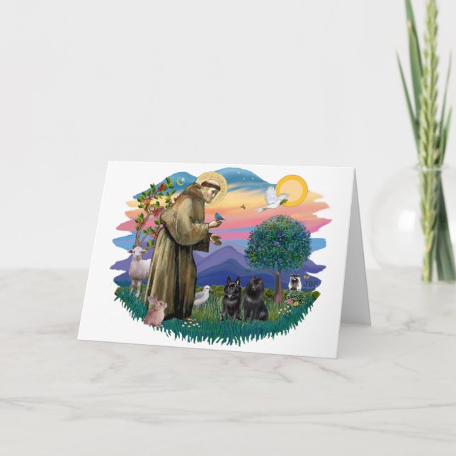 Schipperke (zwei) karte (Vorderseite)