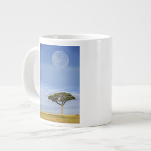 Schirmakazie, Acacia tortilis, und Jumbo-Tasse