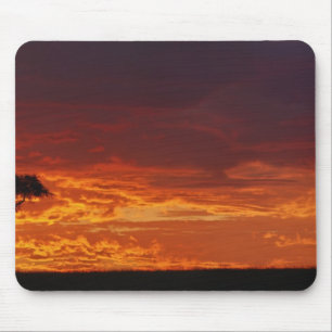 Schirmdornakazie, Acacia tortilis, 2 Mousepad