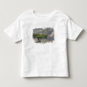 Schirmdornakazie, Acacia tortilis, und 2 Kleinkind T-shirt