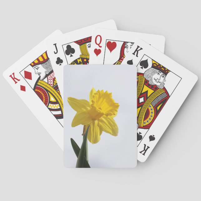 Schirmkarten Spielkarten (Rückseite)