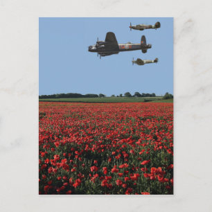 Schlacht bei der britischen Gedenkfliege Postkarte