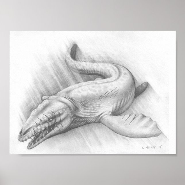 Schlacht (Mosasaur, König des Meeres) Poster (Vorne)
