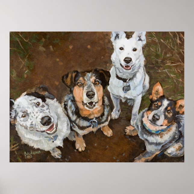 Schlachthunde Rinder Hunde und Heelers Brown Hued Poster (Vorne)