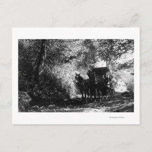 Schlachtpferde Postkarte