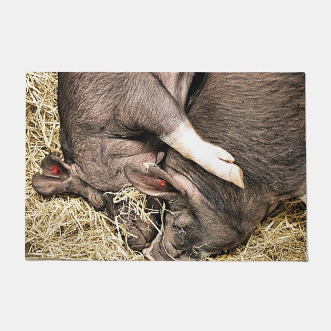 SCHLACHTSCHWEINE FUßMATTE (Vorderseite)