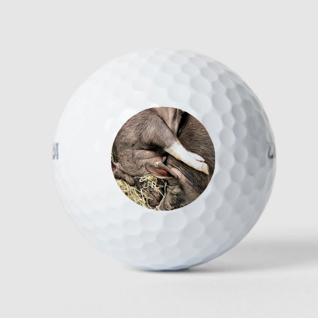 SCHLACHTSCHWEINE GOLFBALL (Vorderseite)