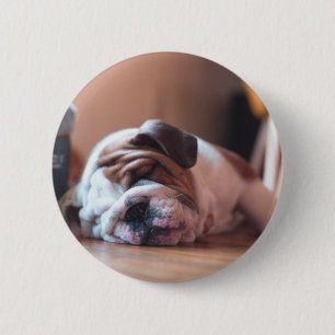 Schlaf-Bulldogge und Weiße Welpe Button