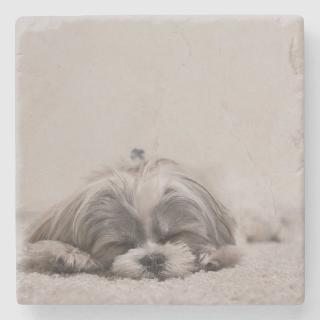 Schlaf Shih tzu Untersetzer, Schlafhund Steinuntersetzer (Vorderseite)