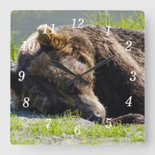 Schlafen Alaska Grizzly Bären Wall Uhr