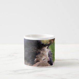 Schlafen Binturong Espressotasse