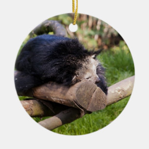 Schlafen Binturong Keramikornament