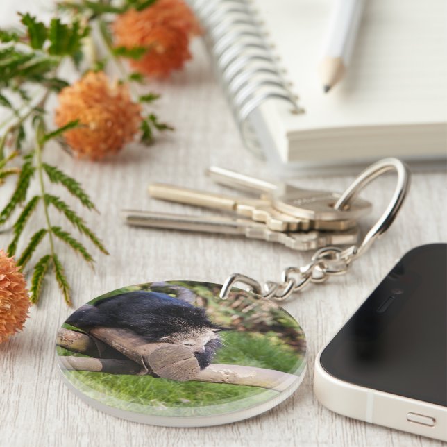 Schlafen Binturong Schlüsselanhänger (Vorderseite rechts)