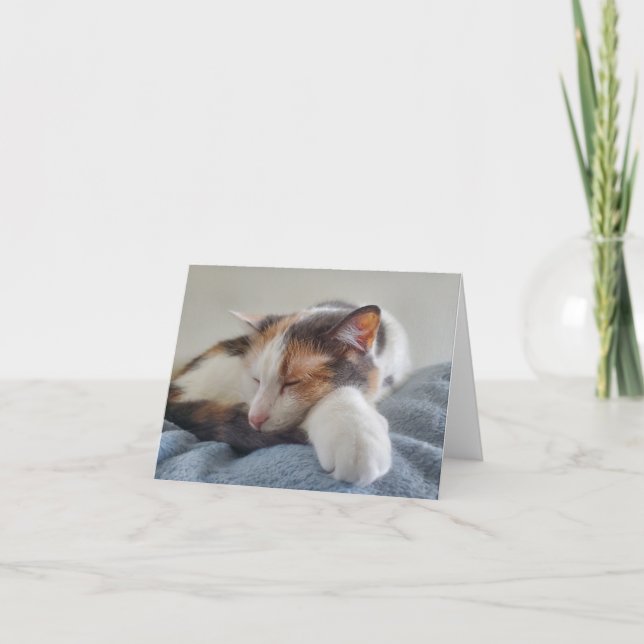 Schlafen Calico Cat Karte (Vorderseite)