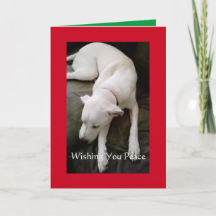 Schlafen Friedlicher weißer Hund Weihnachtsfeierta Karte
