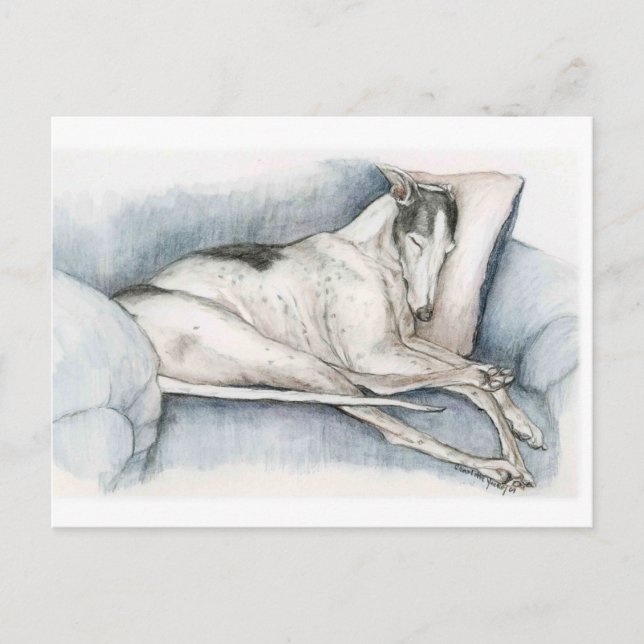 Schlafen Greyhound Dog Art Poscard Postkarte (Vorderseite)