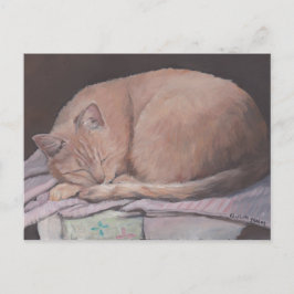 Schlafen Kitte Cat Art Postkarte